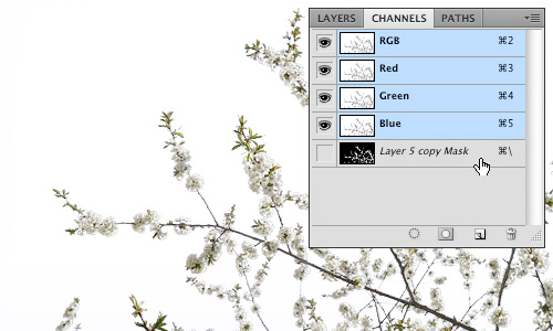 A temporary channel is available whenever a layer with a mask is selected.